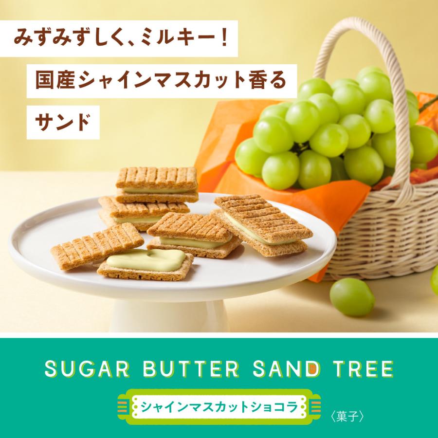 シュガーバターの木 コレクション 55袋入 ギフト プチギフト お菓子