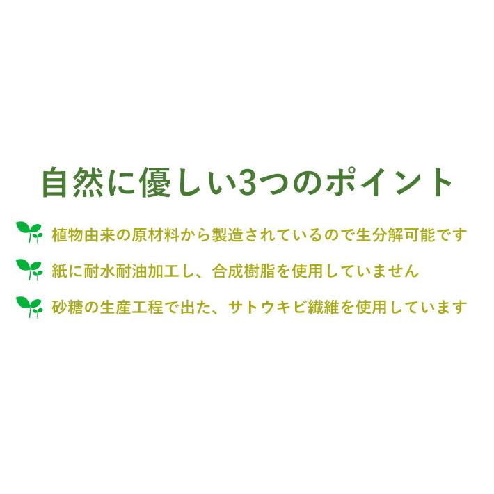 コンポスタブルペーパープレート 26cm (5枚入×160パック)使い捨て アウトドア パーティー 容器  エコ 紙皿 ペーパートレーの画像