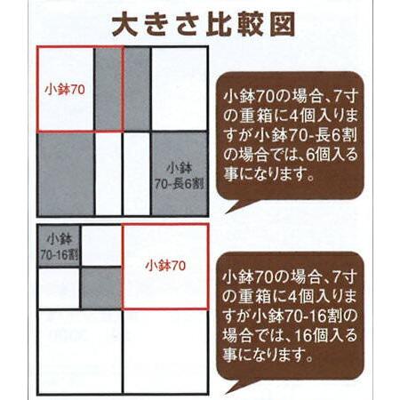 小鉢70C仕切有・赤金 (100枚)高級折箱 弁当仕切り 弁当小鉢 使い捨て 