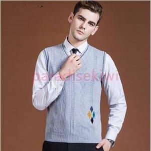 世界の Vネックベスト メンズ ニットベスト アウター 新作 冬 秋 上品 オフィス ウール 男性 ノースリーブ セーター トップス アウター ビジネスベスト Vネックベスト メンズ ニットベスト スーツ フォーマル Smssvg Org