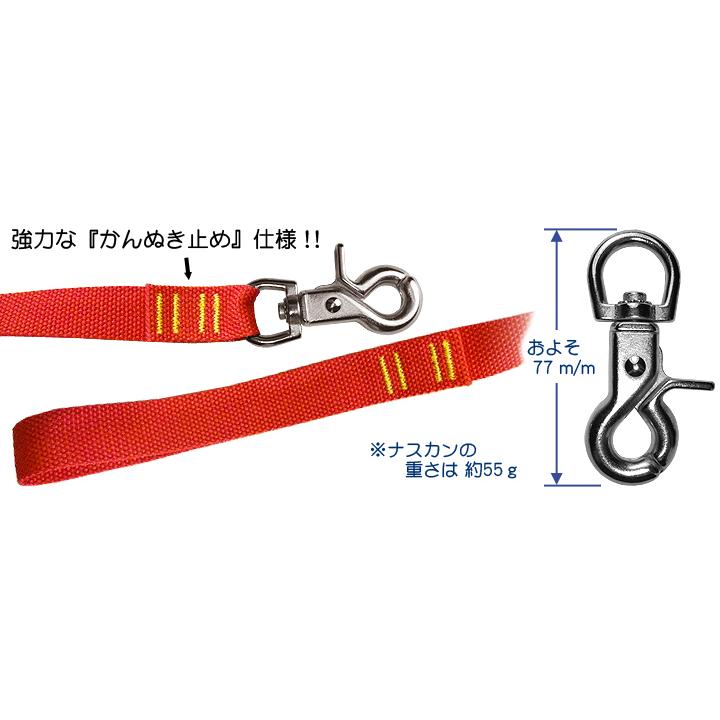 ロングリード 15ｍ 2.5幅 |  | 01