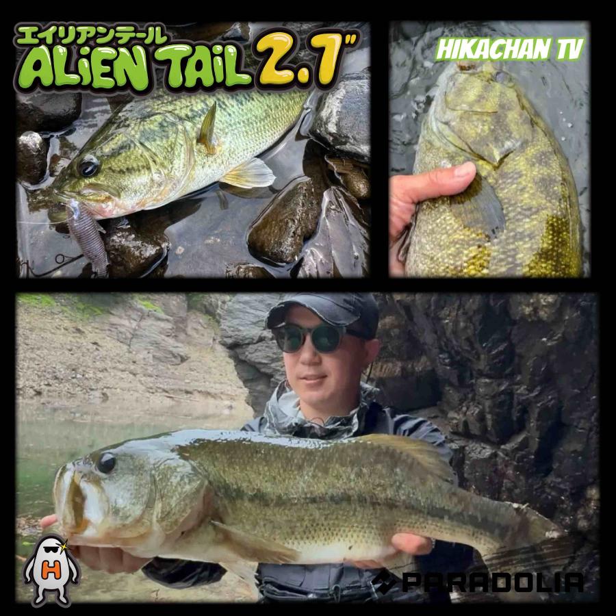 【ワーム】エイリアンテール 2.7inch ALIENTAIL |  | 10
