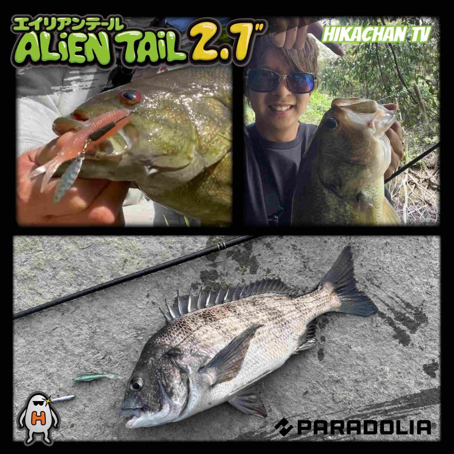 【ワーム】エイリアンテール 2.7inch ALIENTAIL |  | 13
