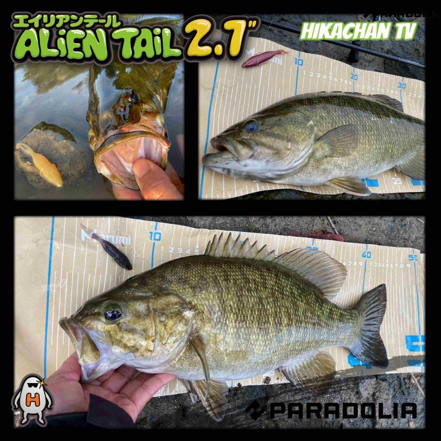 【ワーム】エイリアンテール 2.7inch ALIENTAIL |  | 14