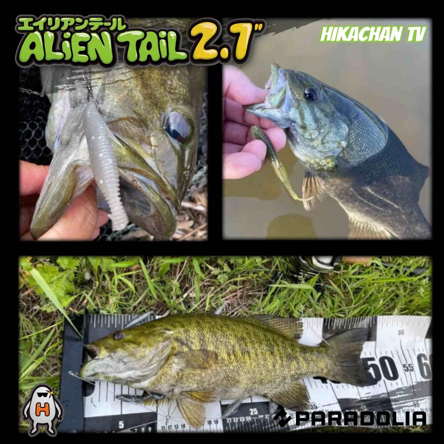 【ワーム】エイリアンテール 2.7inch ALIENTAIL |  | 15