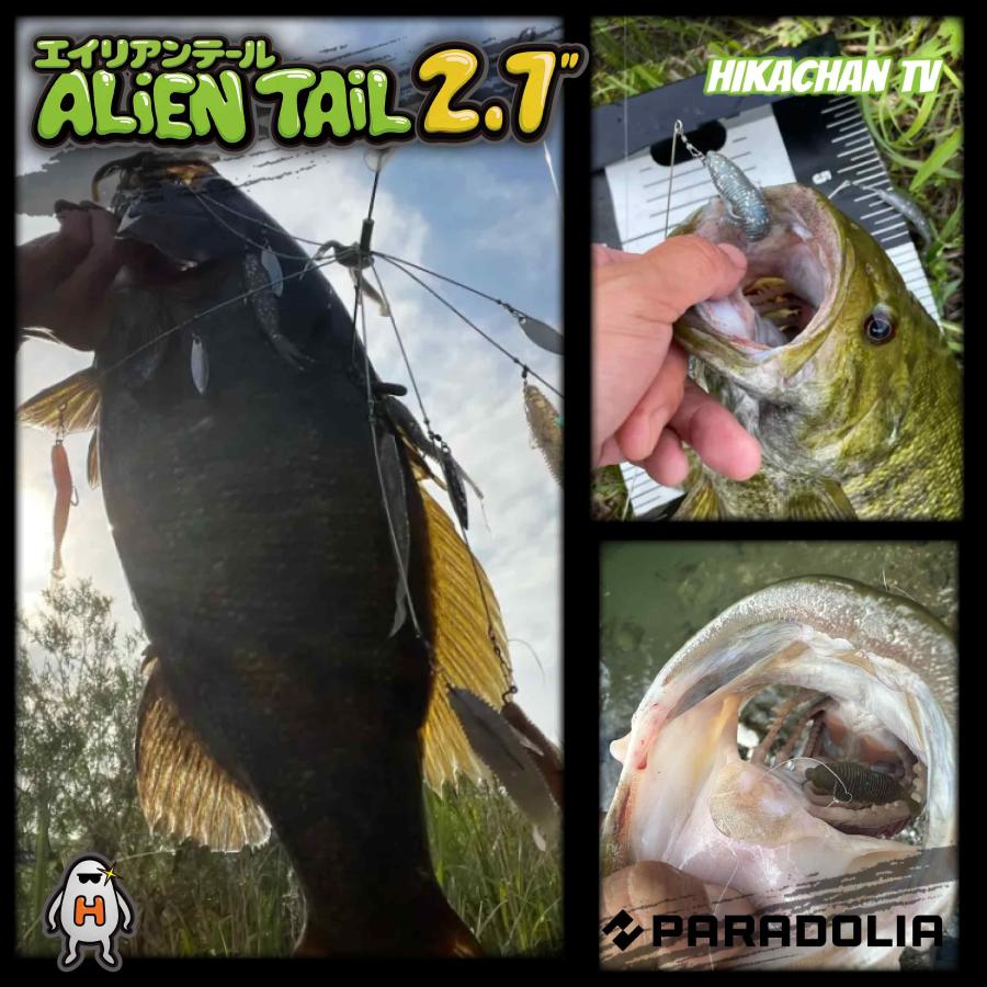 【ワーム】エイリアンテール 2.7inch ALIENTAIL |  | 17