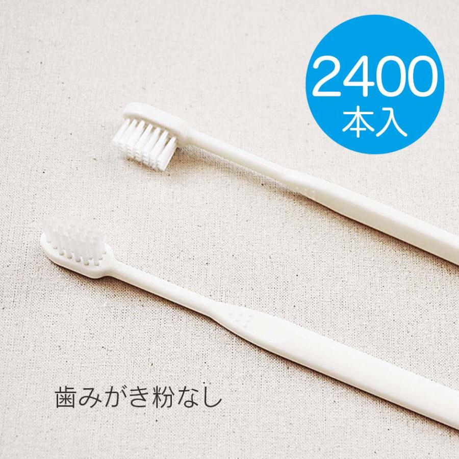 使い歯ブラシ  2400本   歯みがき粉なし　24穴　業務用 使い捨て｜paraiso-shop