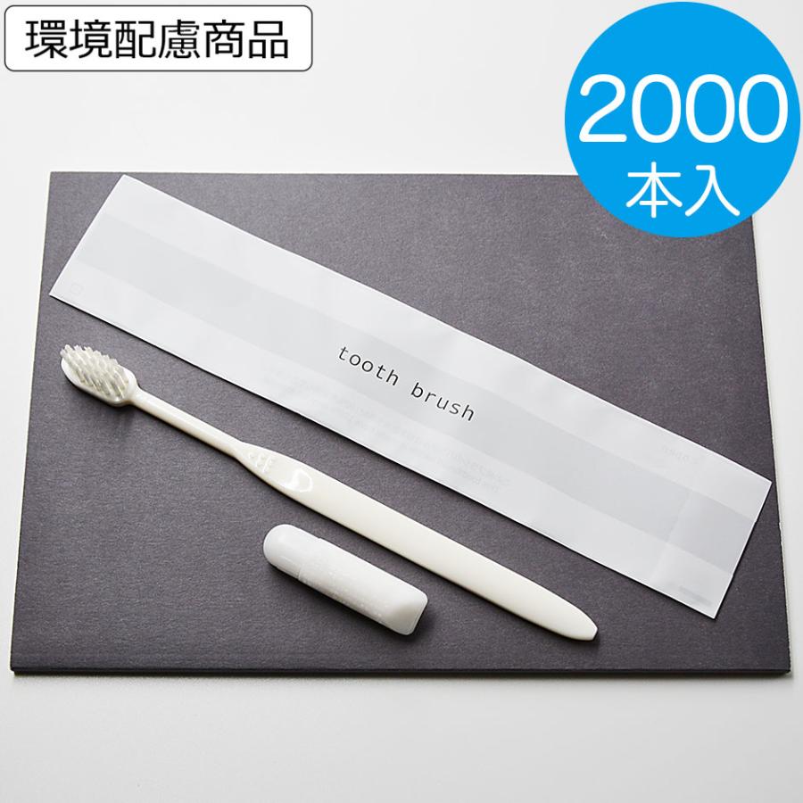 歯ブラシセット 2000本 業務用 使い捨て　ハブラシ　24穴　リリー チューブ付 の商品画像