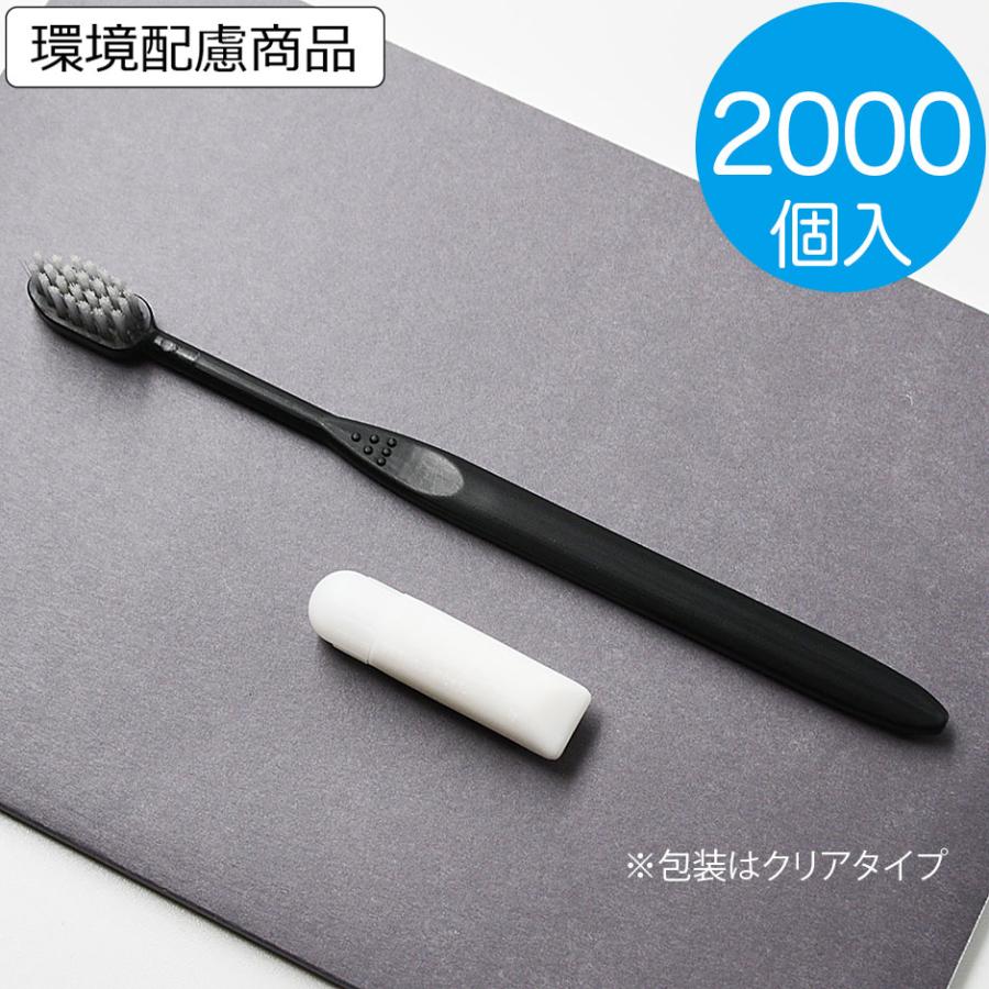 高級素材使用ブランド 歯ブラシセット 2000本 ブラック 業務用 使い捨て ハブラシ 24穴 ピュア チューブ付 wantannas.go.id 高級素材使用ブランド 歯ブラシセット 2000本 ブラック 業務用 使い捨て ハブラシ 24穴 ピュア チューブ付 wantannas.go.id