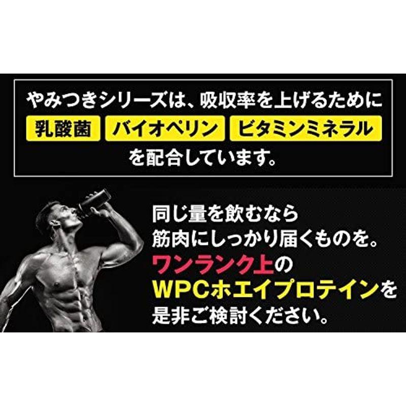 優先配送 ホエイプロテイン 3kg チョコ SAVE プロテイン やみつきチョコ風味 WPC 乳酸菌 バイオペリン エンザミン酵素 ホエイプロテイン 3kg コーヒー SAVEプロテイン やみつきコーヒー風味 WPC 乳酸菌 バイオペリン エンザミン酵素配合