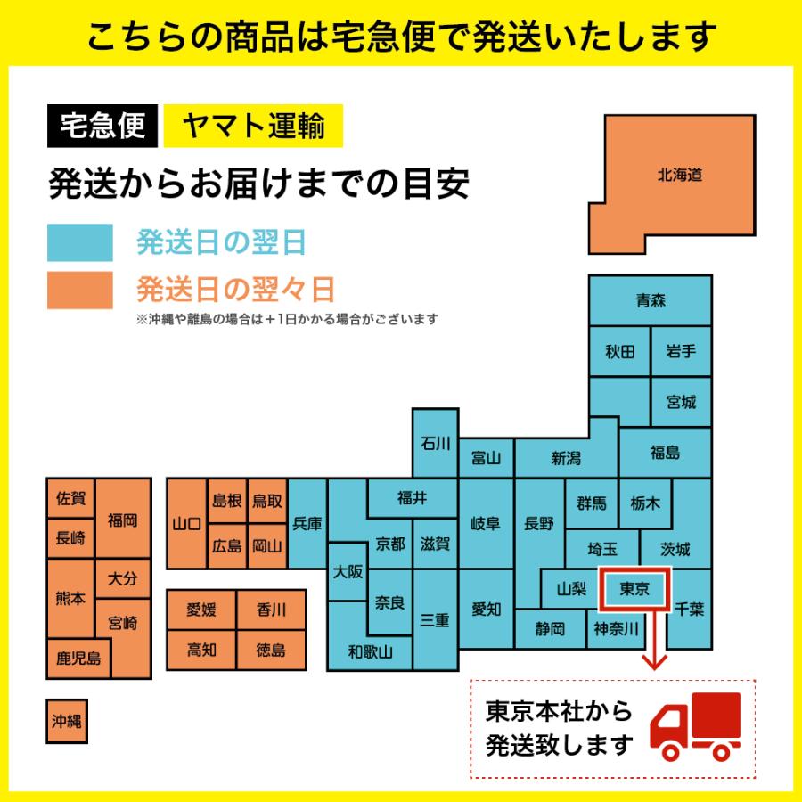 3E幅 フットベッド サンダル ぺたんこ 本革 日本製 セイロン CS250 サンダル レディス 女性 室内 野外 おでかけ カジュアル フィット感 調整可能 ベルト調節 夏 |  | 17