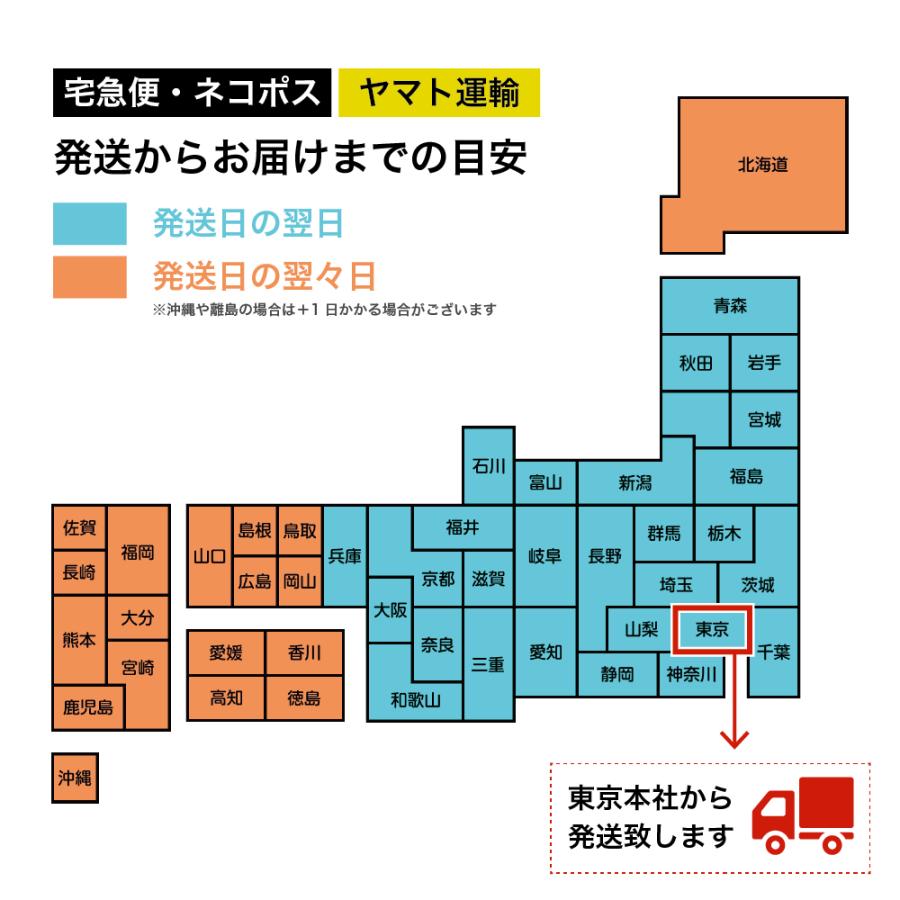 靴ズレ防止 後付け パンプス用ストラップ 日本製 本革 マジックテープ 取付 脱げ防止 シューズバンド サイズ調節 フィット 就活 通勤 通学 仕事 冠婚葬祭 |  | 14