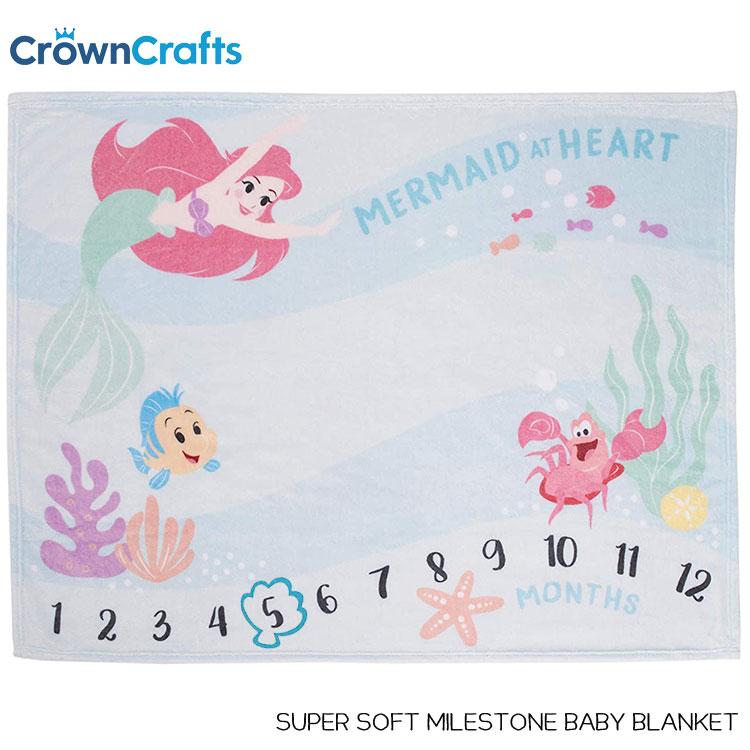 ディズニープリンセス ディズニー マイクロファイバー ブランケット