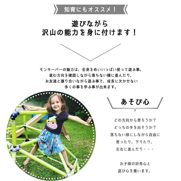 Online ONLY(海外取寄)/ 大型遊具 トイ モンスター モンキーバー