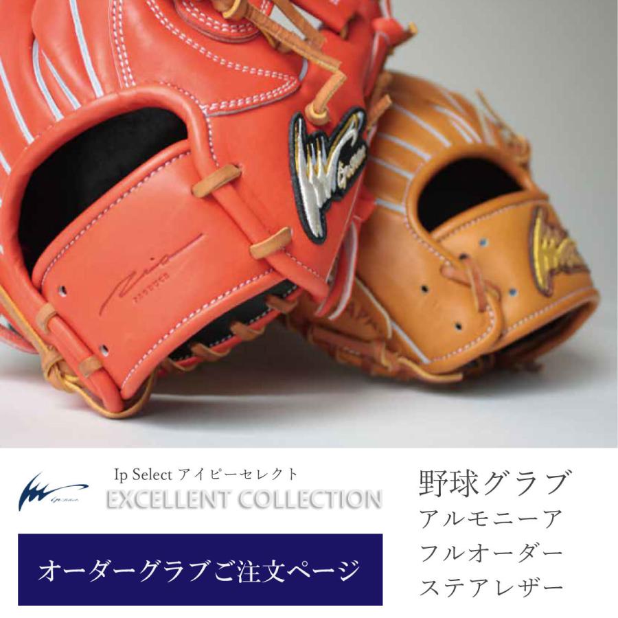 Proshop SportecIp Select アイピーセレクト Ip_Order_Glove_AREc 野球