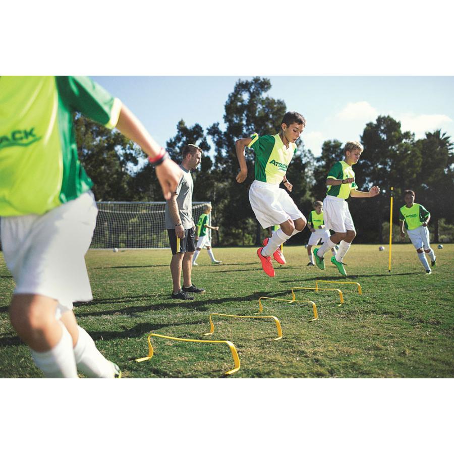 SKLZ(スキルズ) 018601 6X ハードル HURDLES トレーニング : Proshop