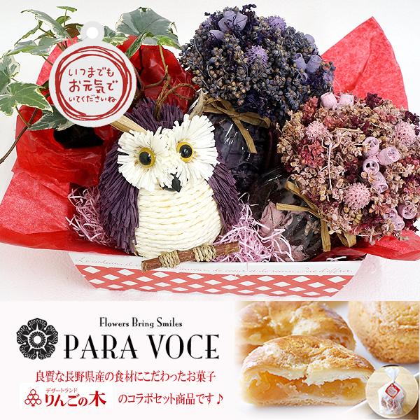 特価品コーナー 母の日 22 プレゼント 花 観葉植物とドライフラワーのセット ふくろうマスコット付 鉢植え 花鉢 鉢花 母の日ギフト ガーデニング