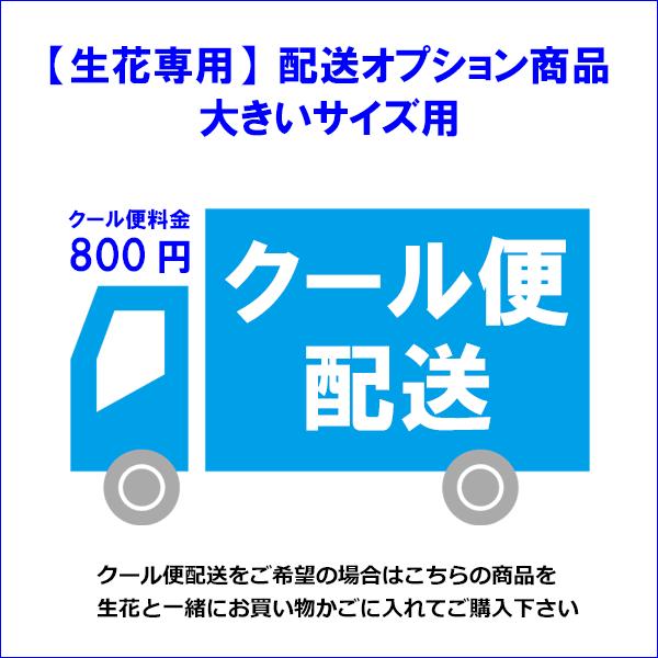 クール便配送オプション 大きいサイズ用【生花ご注文時限定 サイズ限定