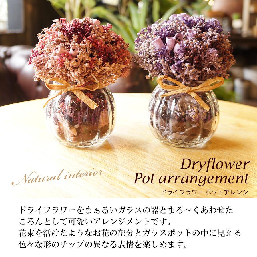 最大93 オフ 誕生日プレゼント 花 ギフト 新築祝い ドライフラワーポットアレンジ 記念日フォト ウェルカムスペース インテリア雑貨 結婚祝い フラワーギフト Aynaelda Com