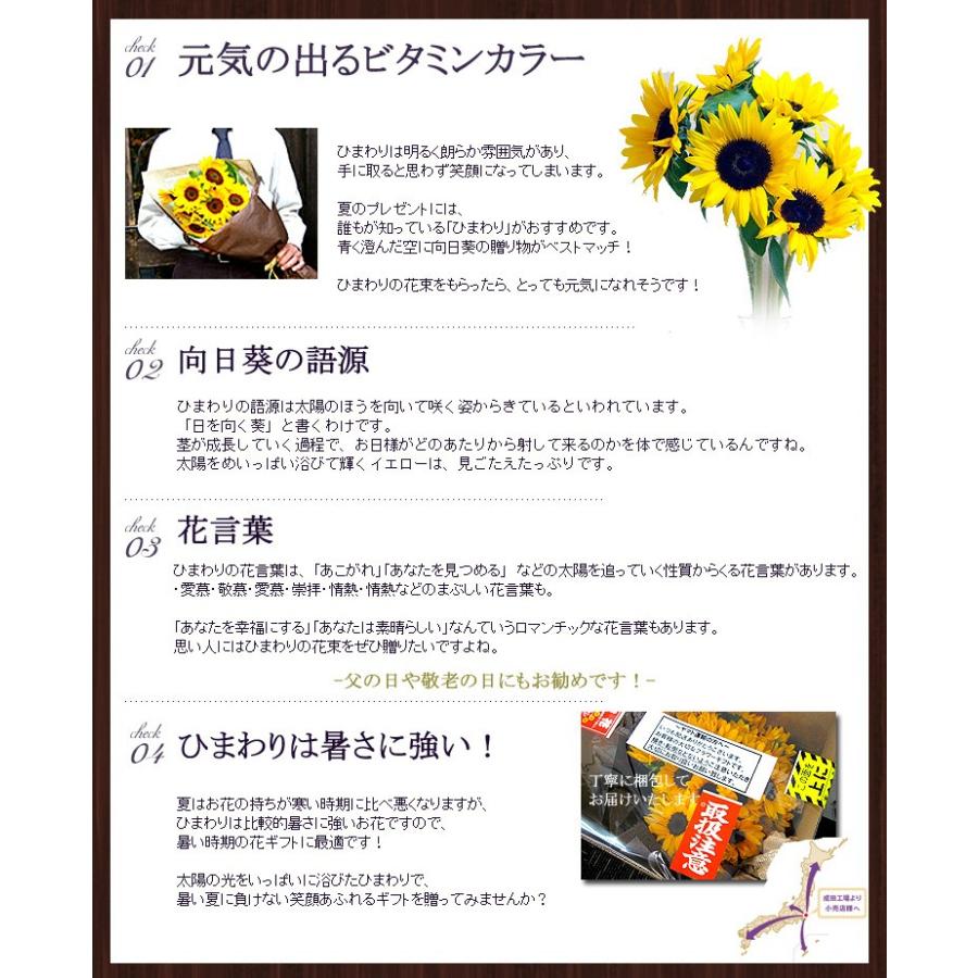 無料でダウンロード ひまわり 花 言葉 笑顔