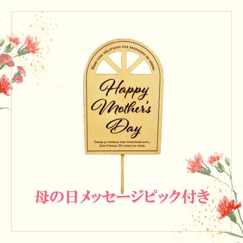 母の日 ギフト 選べる 花鉢 紫陽花(ひな祭りルナ) カラー 花 母の日 ギフト 選べる 花鉢 紫陽花(ひな祭りルナ) カラー 花