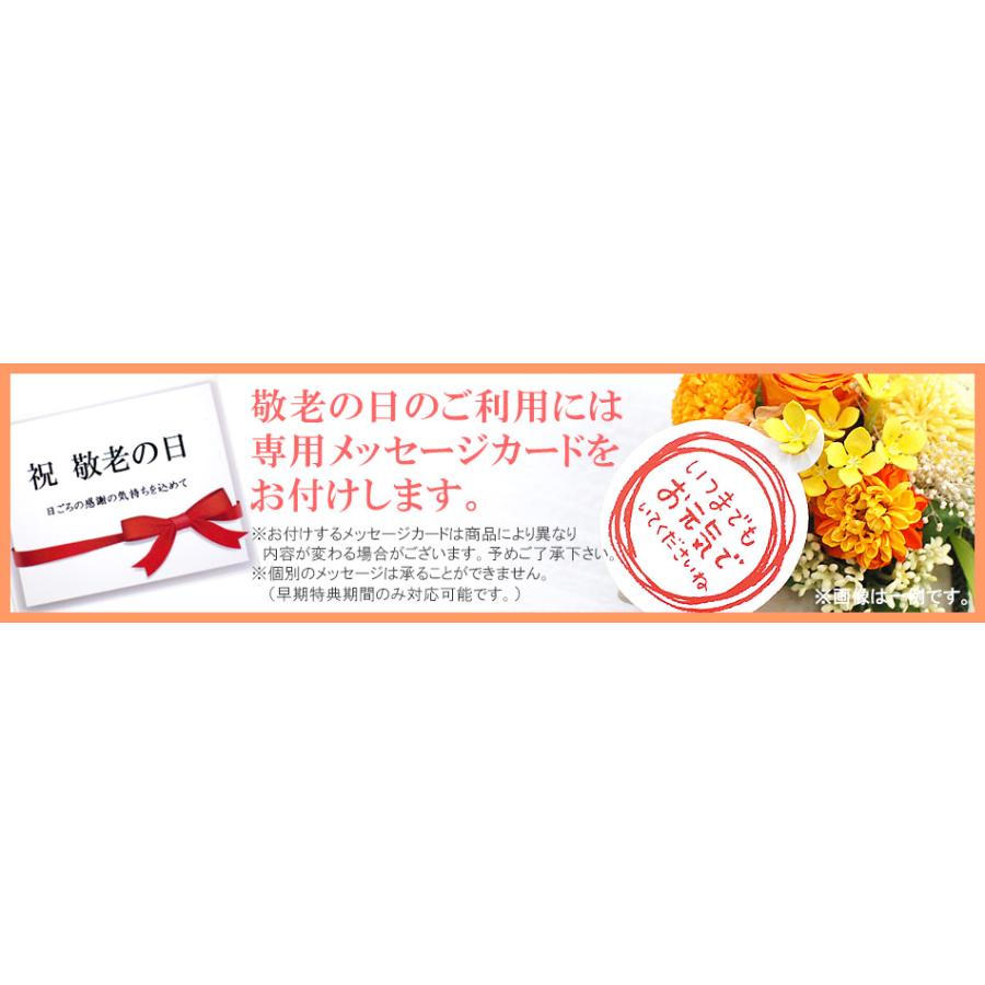 誕生日 プレゼント 花 ソープフラワーアレンジメント メアリー 石鹸でできた花 フレグランスフラワー お誕生日 プレゼント 花 ギフト Mary 花ギフト専門店 パラボッセ 通販 Yahoo ショッピング
