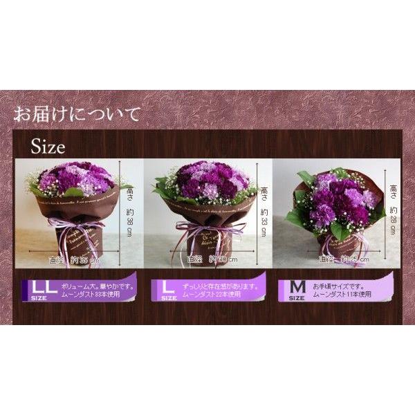 花 花束 古希祝い フラワーブーケ 紫の花 紫のカーネーション ムーンダストの花束 L 36本の花束 生花 珍しい花 青い花 古希祝い サントリーフラワーズ Mdl 花ギフト専門店 パラボッセ 通販 Yahoo ショッピング
