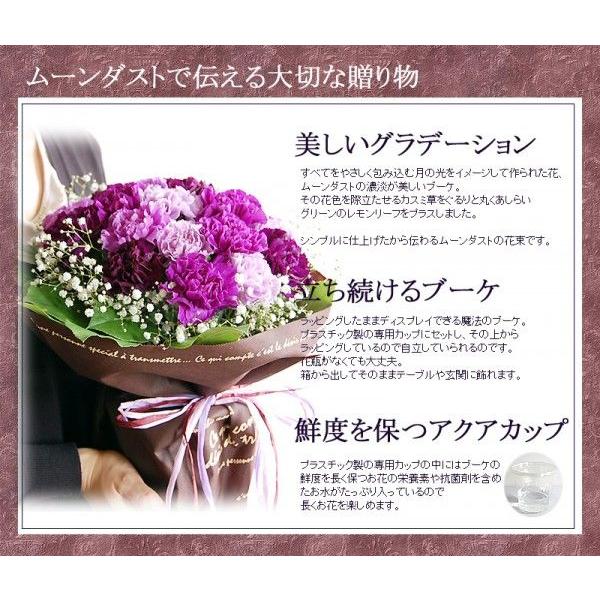 花 花束 古希祝い フラワーブーケ 紫の花 紫のカーネーション ムーンダストの花束 L 36本の花束 生花 珍しい花 青い花 古希祝い サントリーフラワーズ Mdl 花ギフト専門店 パラボッセ 通販 Yahoo ショッピング