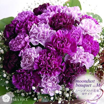 ムーンダストの花束 M 24本の花束 誕生日プレゼント 古稀祝い お祝い 花束 珍しい花 青い花 紫のカーネーション もらって嬉しいギフト Mdm 花ギフト専門店 パラボッセ 通販 Yahoo ショッピング