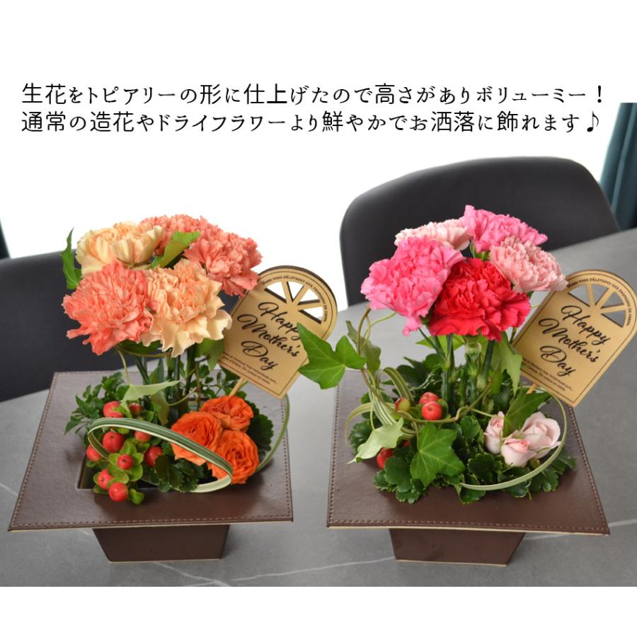 母の日 ギフト 花 生花 母の日限定 トピアリー アレンジ
