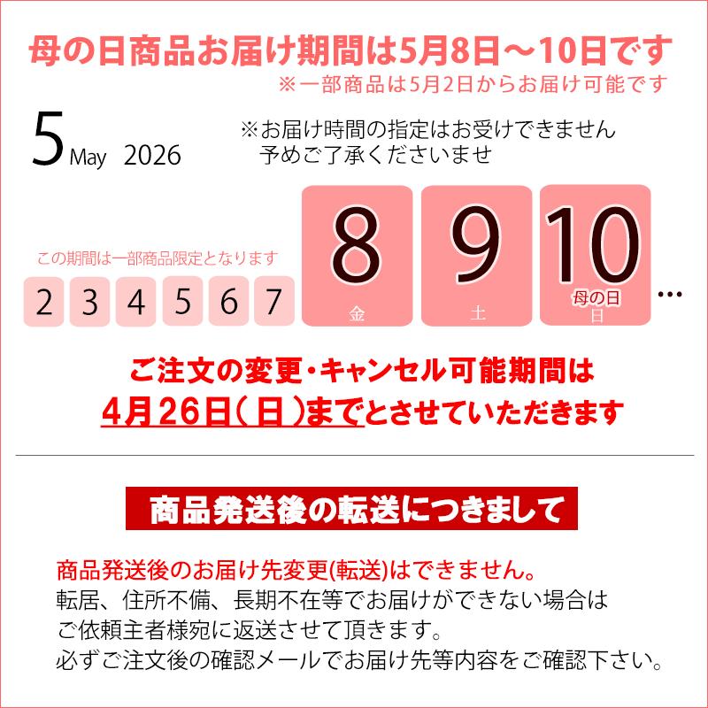 ムーンダストの花束（L）36本  母の日 ギフト 花 母の日 カーネーション 花 母の日 花 ギフト 母の日 プレゼント 青いカーネーション サントリーの花 希少品種の画像