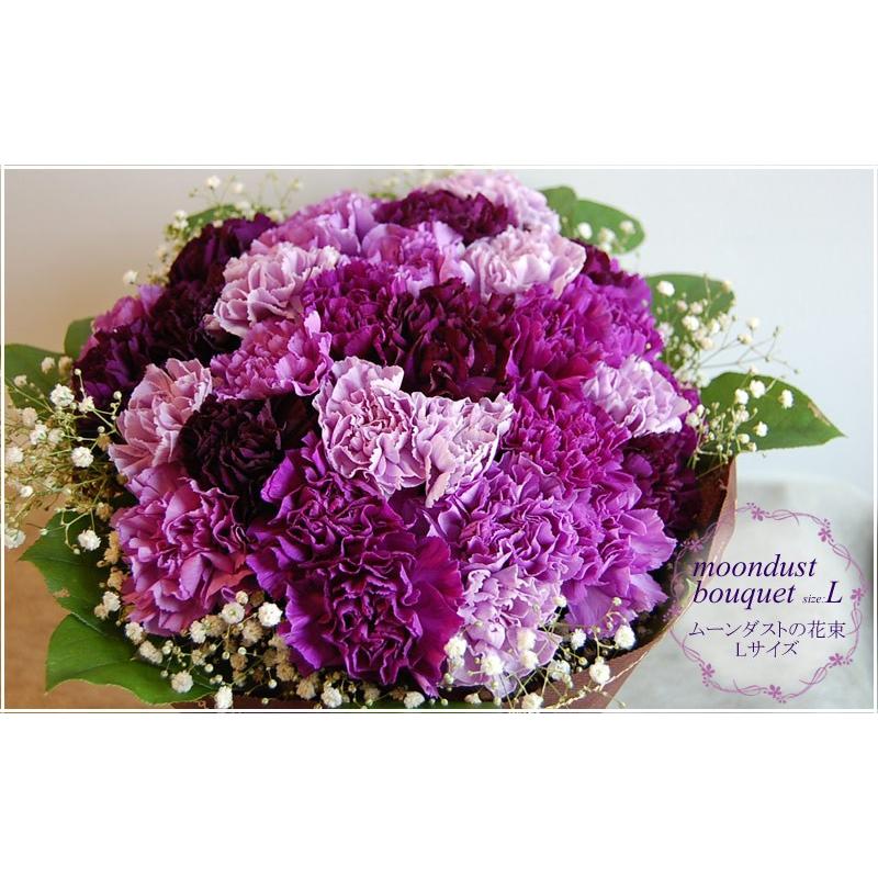 ムーンダストの花束（L）36本  母の日 ギフト 花 母の日 カーネーション 花 母の日 花 ギフト 母の日 プレゼント 青いカーネーション サントリーの花 希少品種の画像