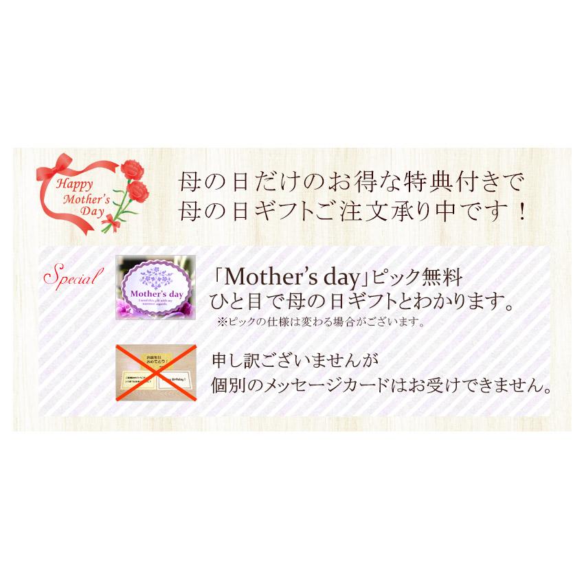 ムーンダストの花束（L）36本  母の日 ギフト 花 母の日 カーネーション 花 母の日 花 ギフト 母の日 プレゼント 青いカーネーション サントリーの花 希少品種の画像
