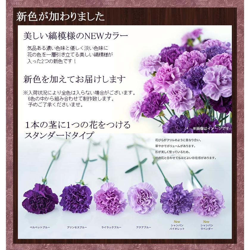 ムーンダストの花束（L）36本  母の日 ギフト 花 母の日 カーネーション 花 母の日 花 ギフト 母の日 プレゼント 青いカーネーション サントリーの花 希少品種の画像