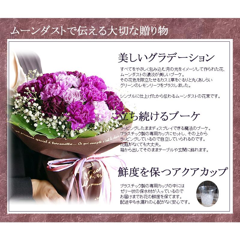 ムーンダストの花束（L）36本  母の日 ギフト 花 母の日 カーネーション 花 母の日 花 ギフト 母の日 プレゼント 青いカーネーション サントリーの花 希少品種の画像