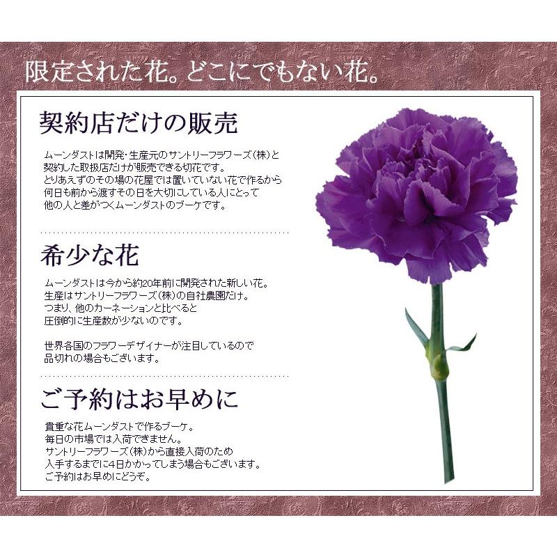 ムーンダストの花束（L）36本  母の日 ギフト 花 母の日 カーネーション 花 母の日 花 ギフト 母の日 プレゼント 青いカーネーション サントリーの花 希少品種の画像