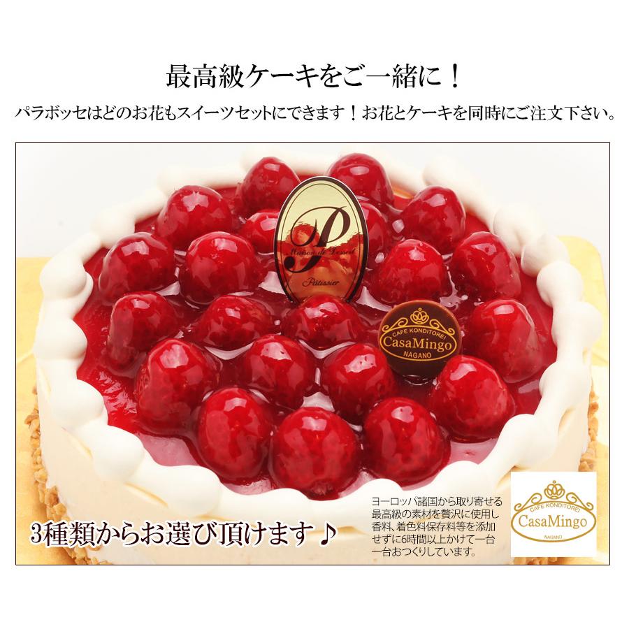 ムーンダストの花束（L）36本  母の日 ギフト 花 母の日 カーネーション 花 母の日 花 ギフト 母の日 プレゼント 青いカーネーション サントリーの花 希少品種の画像