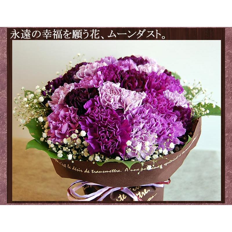 ムーンダストの花束（L）36本  母の日 ギフト 花 母の日 カーネーション 花 母の日 花 ギフト 母の日 プレゼント 青いカーネーション サントリーの花 希少品種の画像