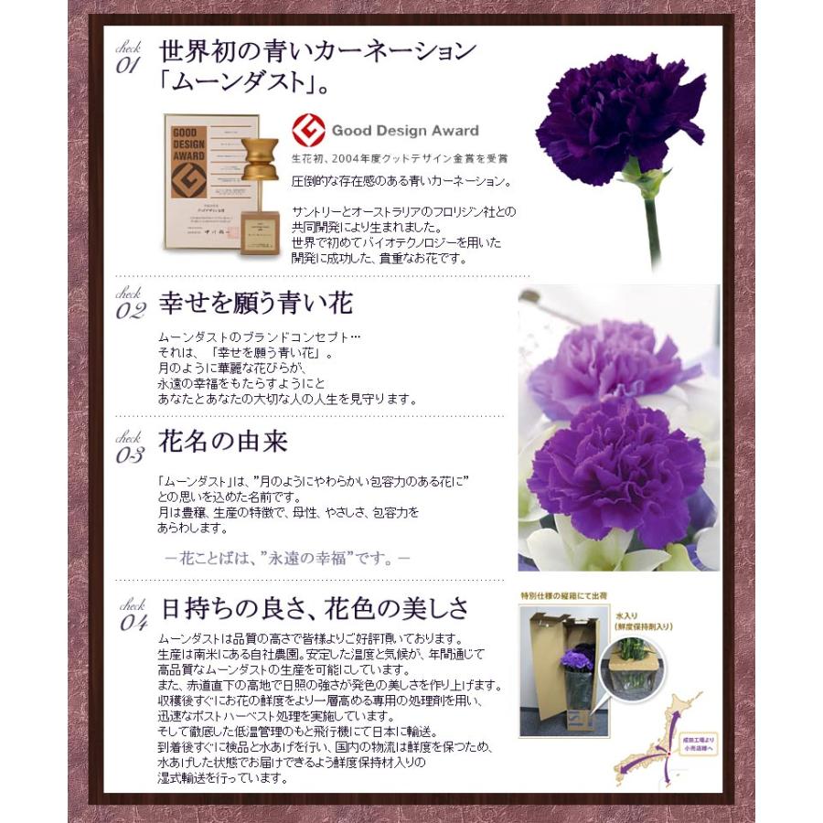 ムーンダストの花束（L）36本  母の日 ギフト 花 母の日 カーネーション 花 母の日 花 ギフト 母の日 プレゼント 青いカーネーション サントリーの花 希少品種の画像