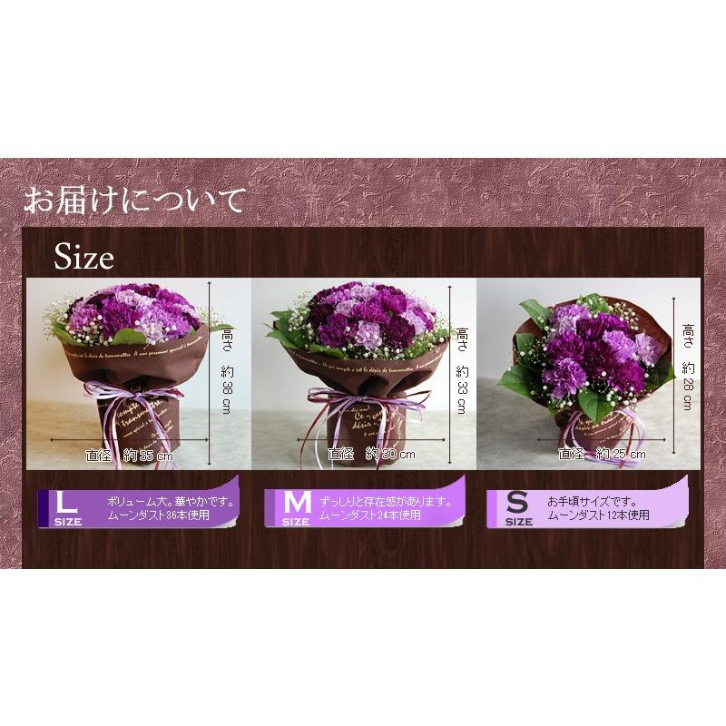 ムーンダストの花束（L）36本  母の日 ギフト 花 母の日 カーネーション 花 母の日 花 ギフト 母の日 プレゼント 青いカーネーション サントリーの花 希少品種の画像