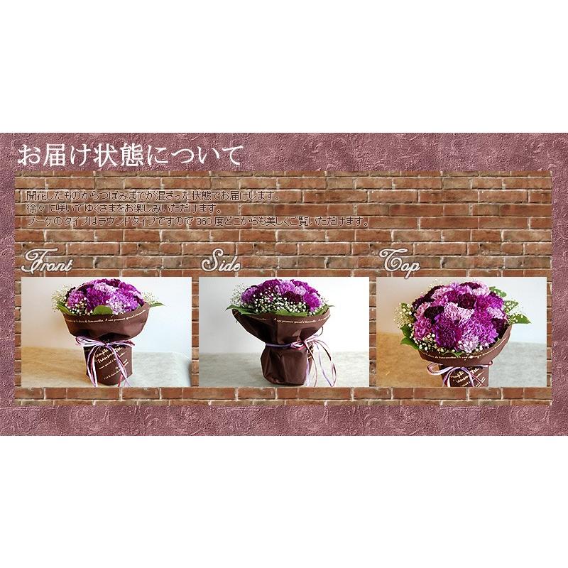ムーンダストの花束（L）36本  母の日 ギフト 花 母の日 カーネーション 花 母の日 花 ギフト 母の日 プレゼント 青いカーネーション サントリーの花 希少品種の画像