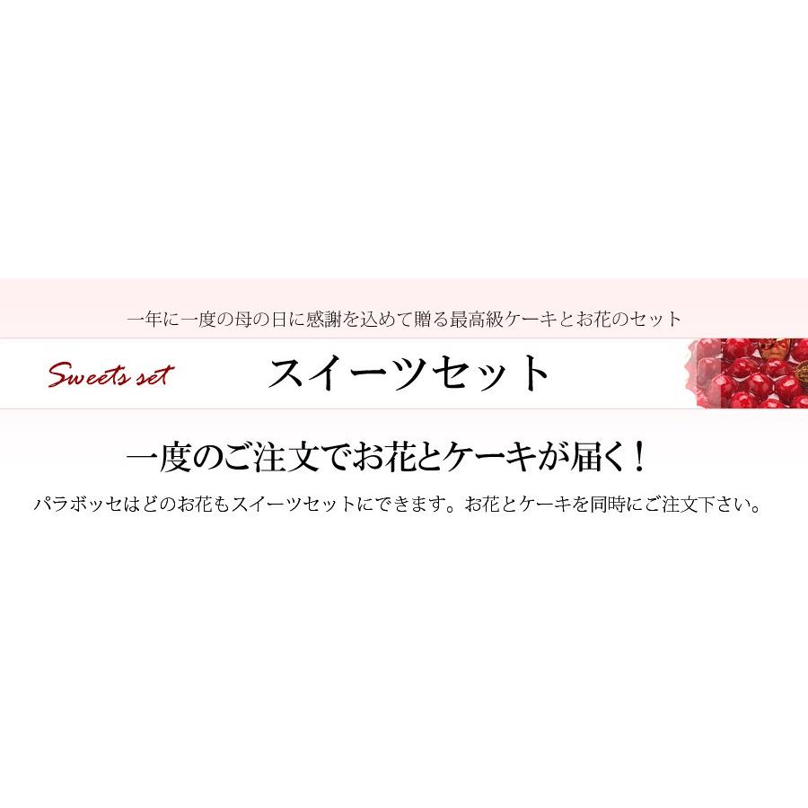 ムーンダストの花束（LL） 48本 母の日 花 ギフト 母の日ギフト 2024 母の日 花 プレゼント 青い花 紫のカーネーション 母の日人気ギフト 希少品種｜paravoce｜06