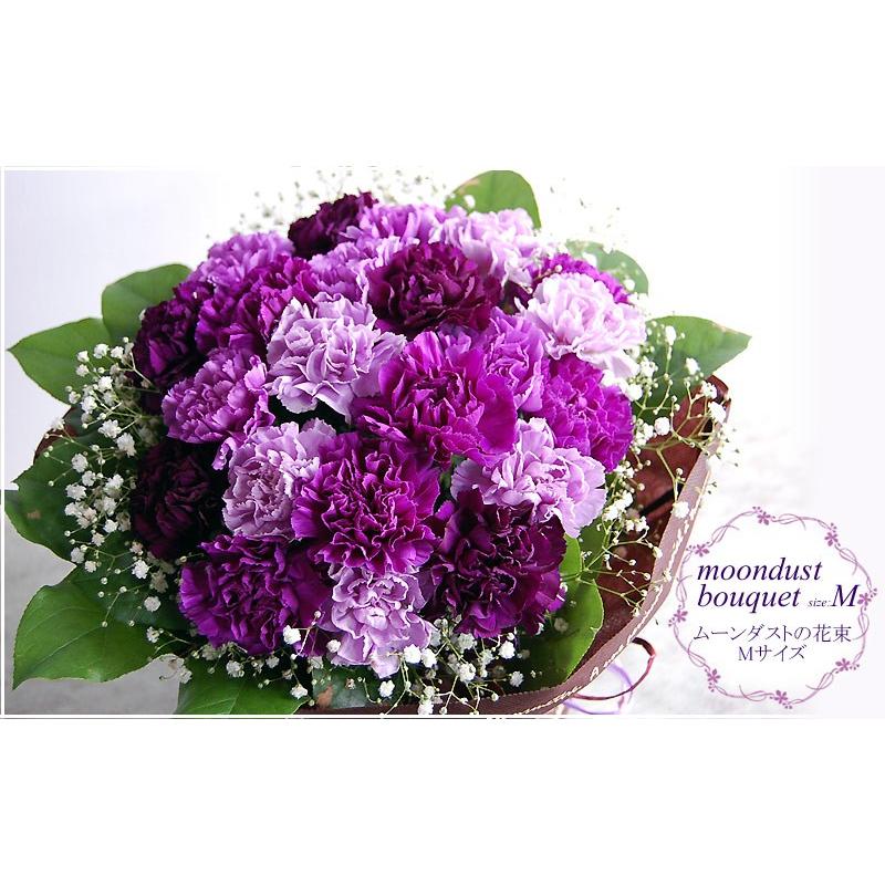 ムーンダストの花束（M） 24本 母の日 ギフト 花 カーネーション