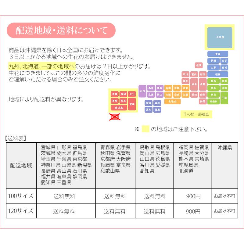 母の日 ギフト カーネーション プレゼント 母の日プレゼント 花 そのまま飾れる花束  (ハッピーブーケ)　スタンディングブーケ 自立する花束 生花 花瓶不要 |  | 11
