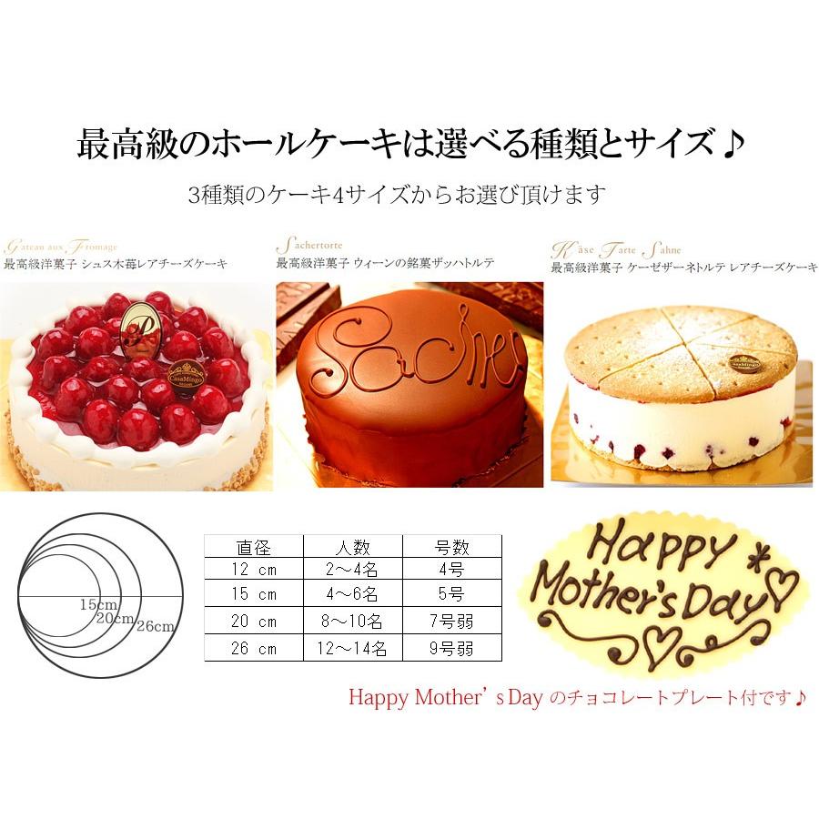 母の日 ギフト カーネーション プレゼント 母の日プレゼント 花 そのまま飾れる花束  (ハッピーブーケ)　スタンディングブーケ 自立する花束 生花 花瓶不要 |  | 14