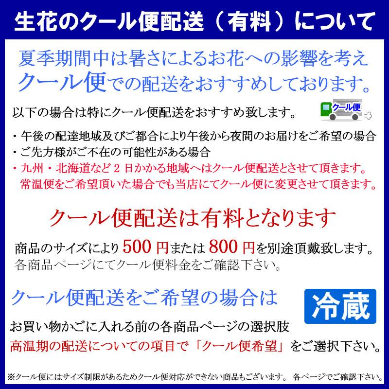 誕生日プレゼント 誕生日 花 ギフト 結婚祝い 結婚記念日 退職祝い 生花 古希 還暦 合格祝い 卒業 入学 お祝いオーダーメイド アレンジメント・花束 Sサイズ |  | 12