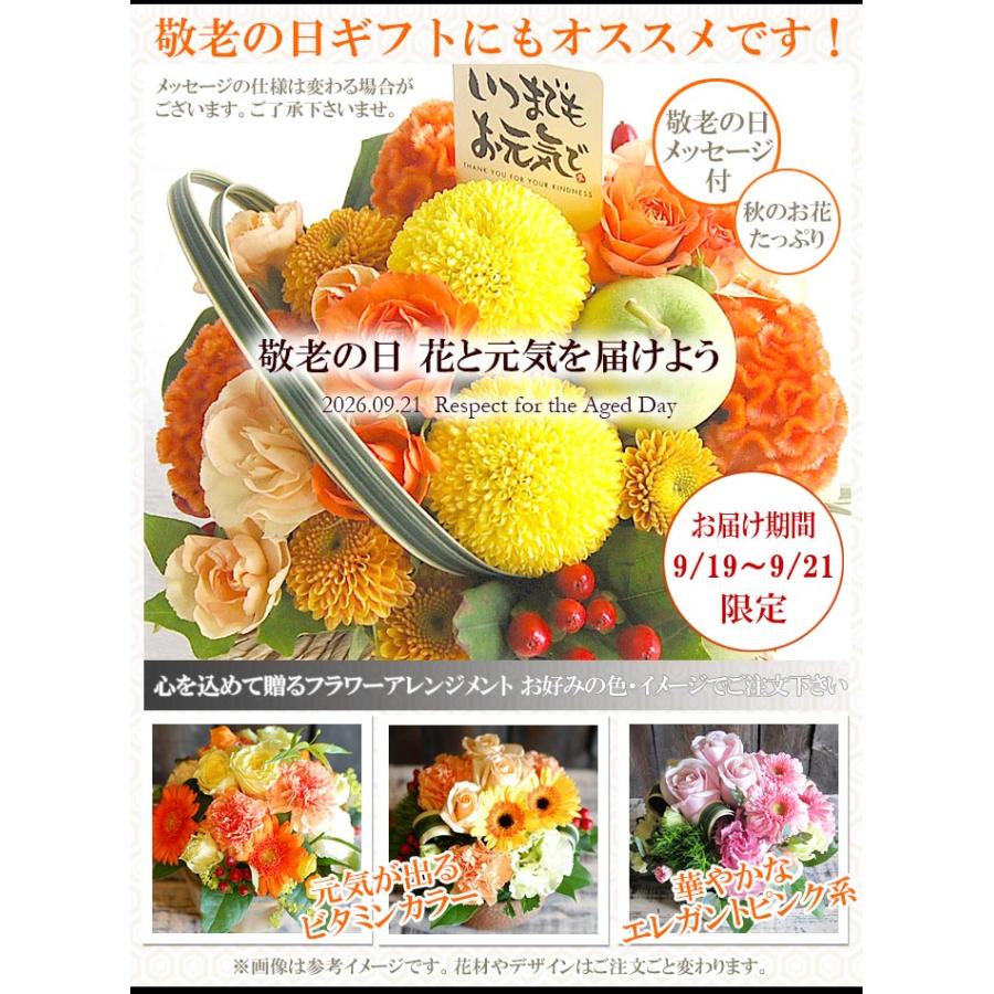 花 プレゼント 誕生日プレゼント 花 ギフト 誕生日 退職祝い 結婚祝い 成人のお祝い 還暦 古希 米寿 お祝い 生花 オーダーメイド アレンジメント・花束 Sサイズ |  | 05