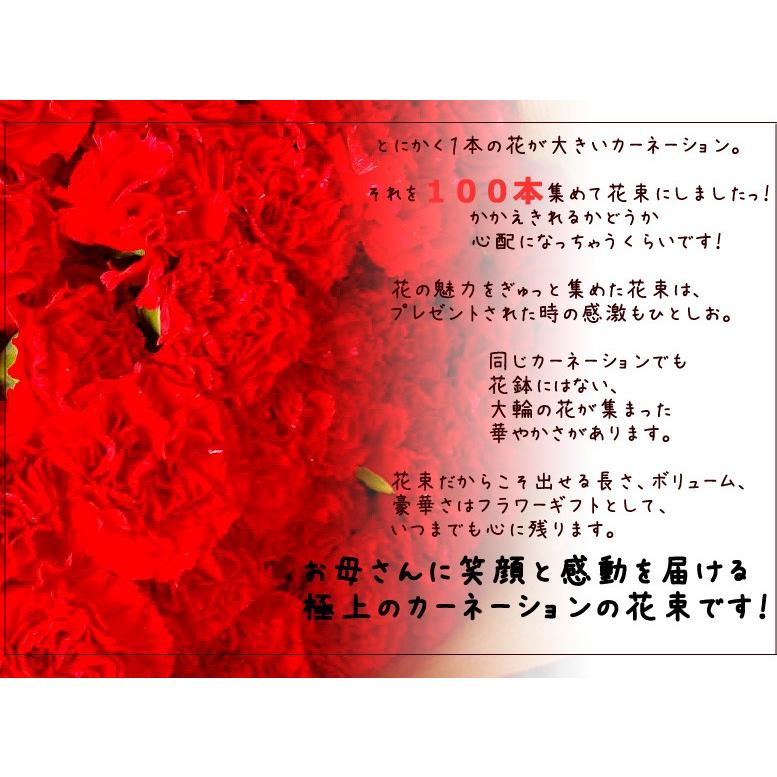 売り尽くしセール】母の日 花 ギフト 母の日 カーネーション 母の日