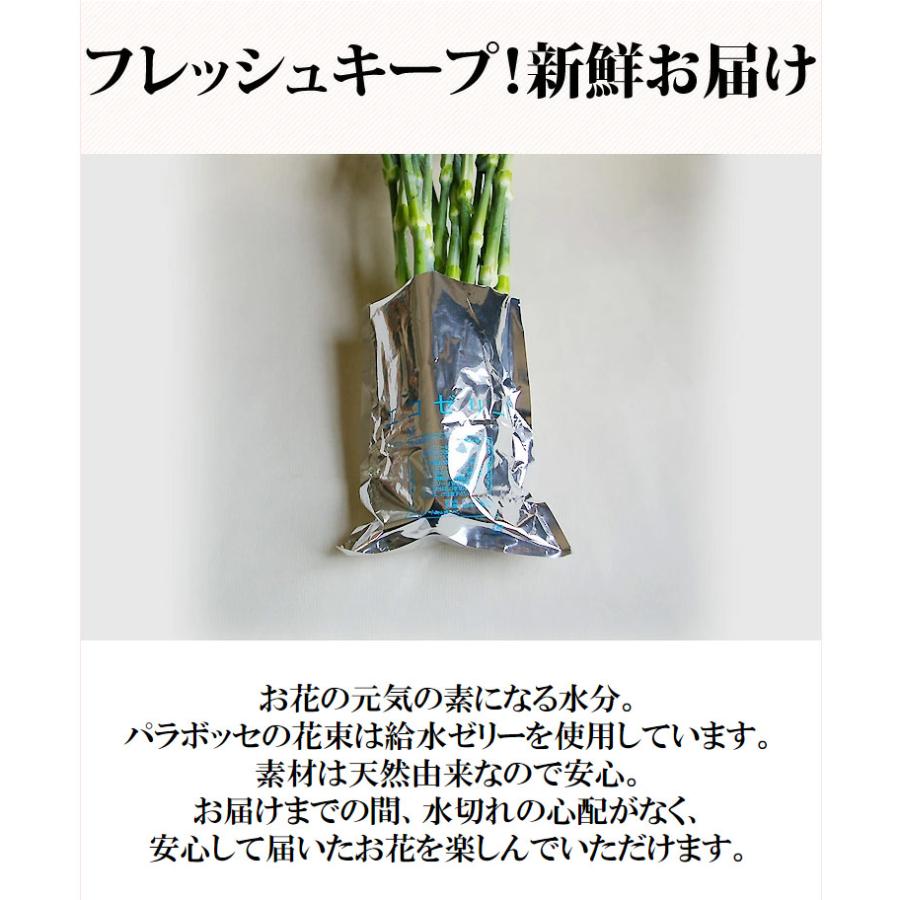 売り尽くしセール】母の日 ギフト カーネーション プレゼント 人気 お