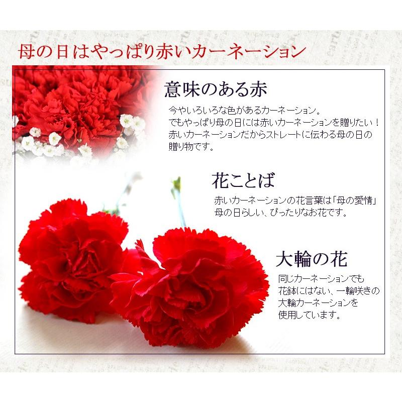 母の日プレゼント 花 ギフト 母の日ギフト 母の日 花 プレゼント 赤いカーネーションのスタンディングブーケ Mサイズ 24本 お洒落 花瓶が要らない花束｜paravoce｜04